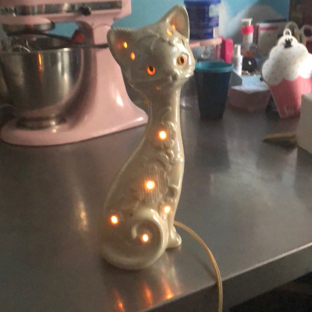 A Night Light Cat